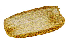 Iridescent Gold (Fine) s.6