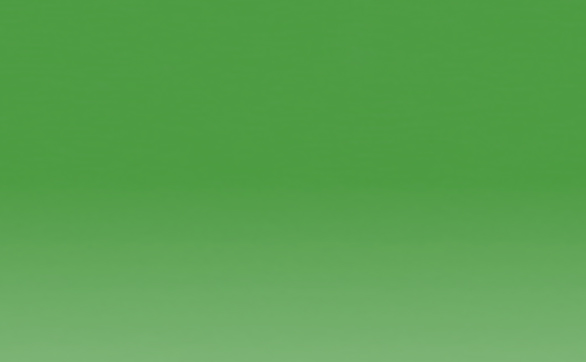 FERN 1560