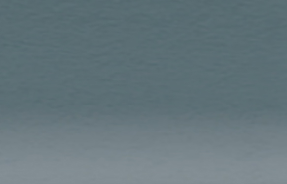 PAYNES GREY 2110
