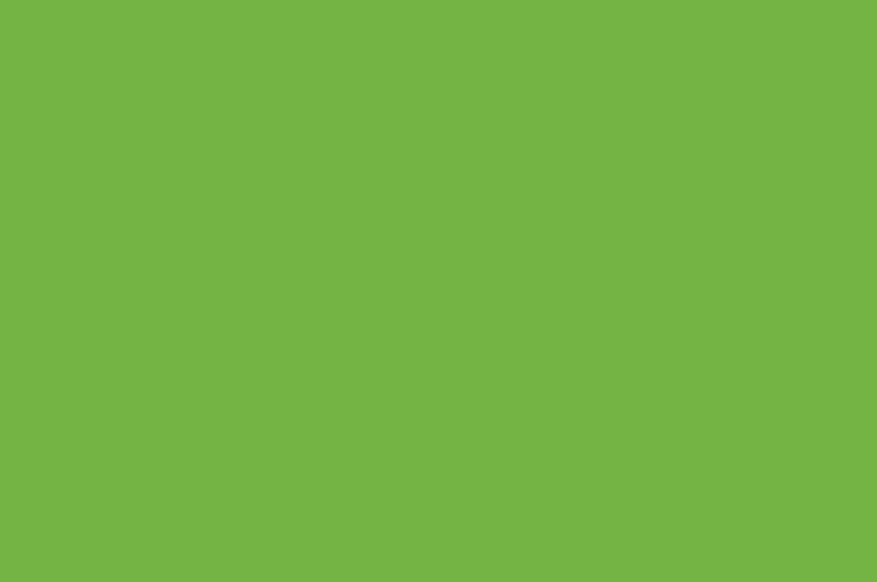 166 verde erba