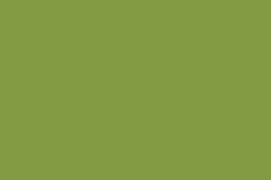 168 verde terra giallastro