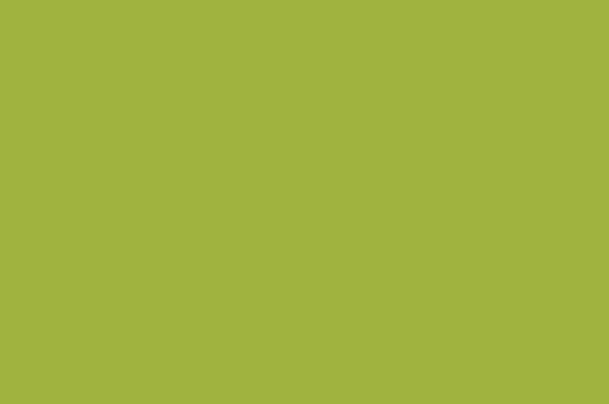 170 verde primavera