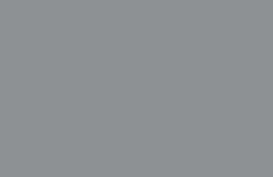 233 grigio freddo IV