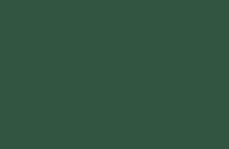 267 verde abete