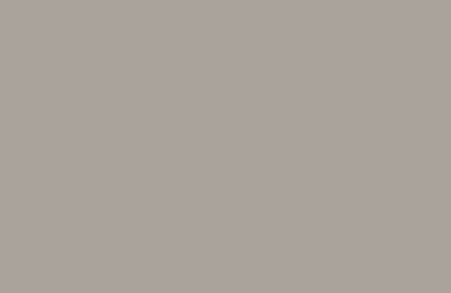 faber-castell-matite-colorate272 Matita Faber-Castell Durer 272 grigio caldo III - immagine 1