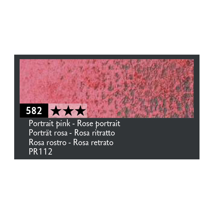 Rosa ritratto 582