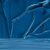 Cerulean Blue