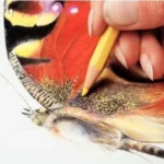 Matita colorata acquerellabile Caran d'Ache Prismalo